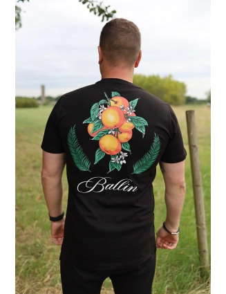 Shirt 2536