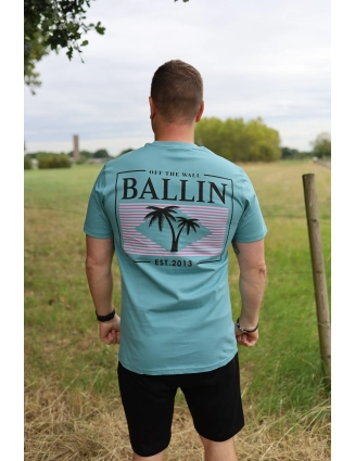 Shirt 2539