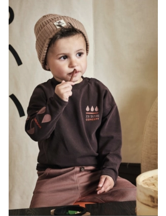 Shirtje Raoul mini