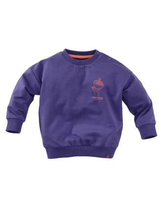 Sweatertje Teun mini